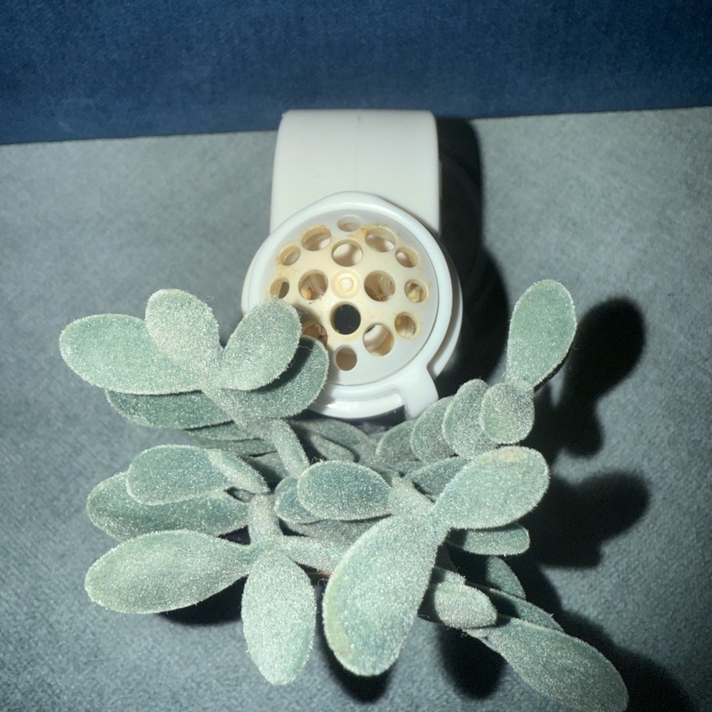 Wallflower: Terracotta Potted Faux Plant with Heart Tag - Picture 6 of 6